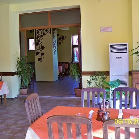 Eleni Palace